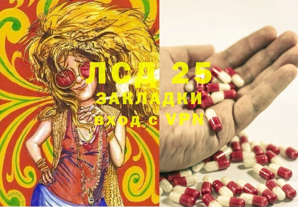 гашик Горно-Алтайск
