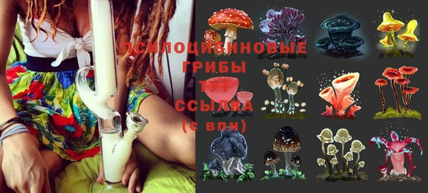 хмурый Горняк