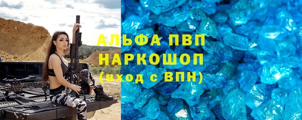 винт Вяземский