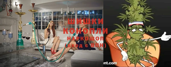 винт Вяземский