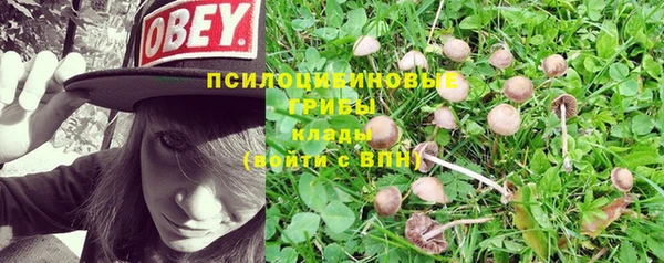 стаф Волосово