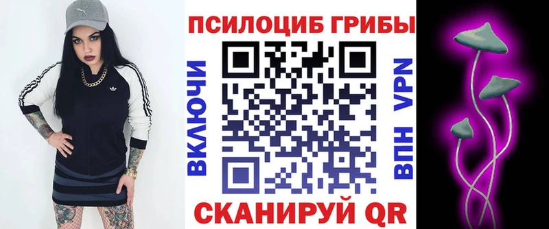 Галлюциногенные грибы Psilocybine cubensis  Рубцовск 