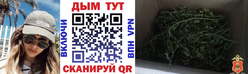 где найти наркотики  OMG как зайти  МАРИХУАНА Bruce Banner  Рубцовск 